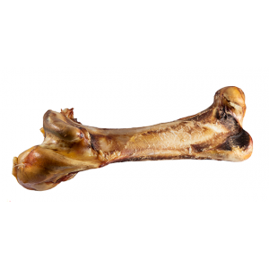 Large Ostrich Bone (non-splintering)